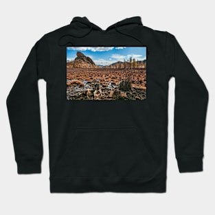 Turtle Rock, Terelj, Mongolia. Hoodie